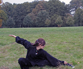 Kung Fu Köln tiefe Stellung